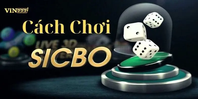 Sicbo Cược Tổng Điểm Chuẩn Vin777: Bí Quyết Đặt Cược Tỷ Lệ Thắng High 2026 4 Minh họa cách phân bổ vốn thông minh theo mô hình kết hợp cửa Cược Tổng và Cược Đôi