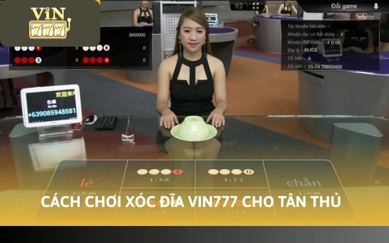 Cách chơi xóc đĩa VIN777 cho tân thủ lần đầu cược