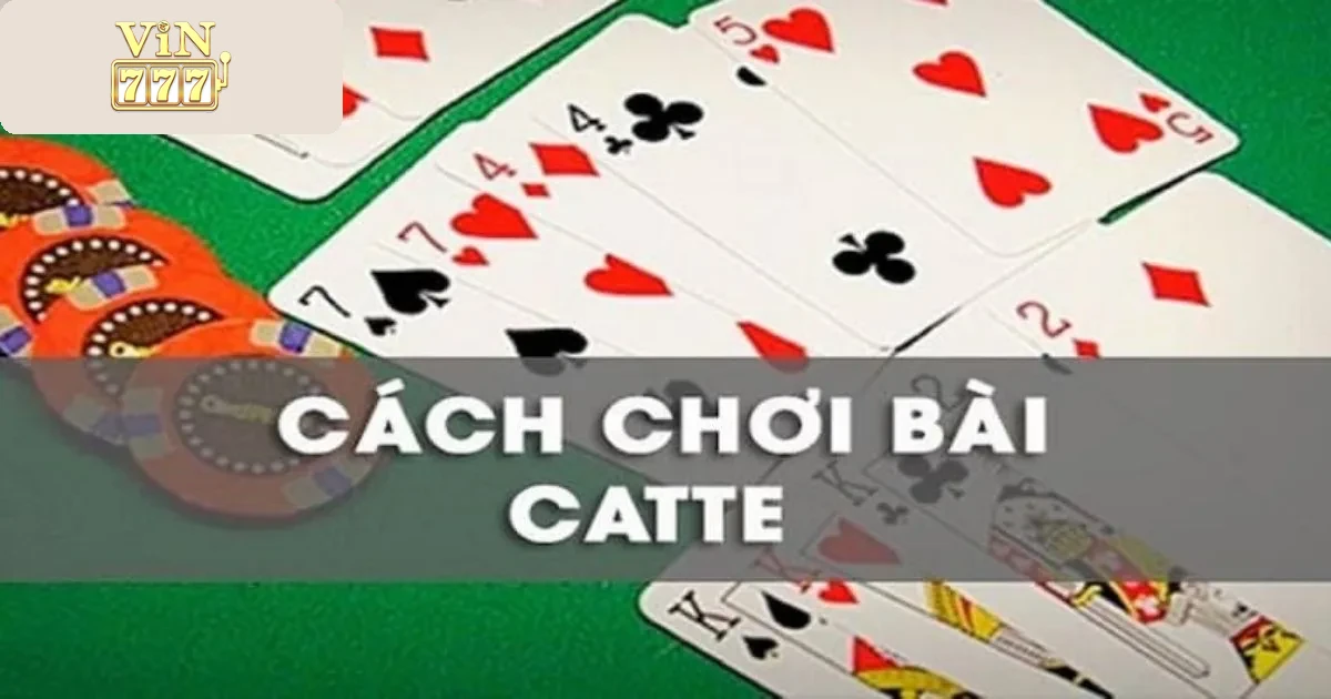 Hướng Dẫn Cá Cược Game Bài Catte Vin777 1 Giới Thiệu Game Bài Catte Tại Vin777