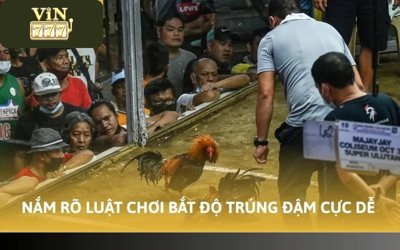 Nắm rõ luật chơi bắt độ trúng đậm cực dễ